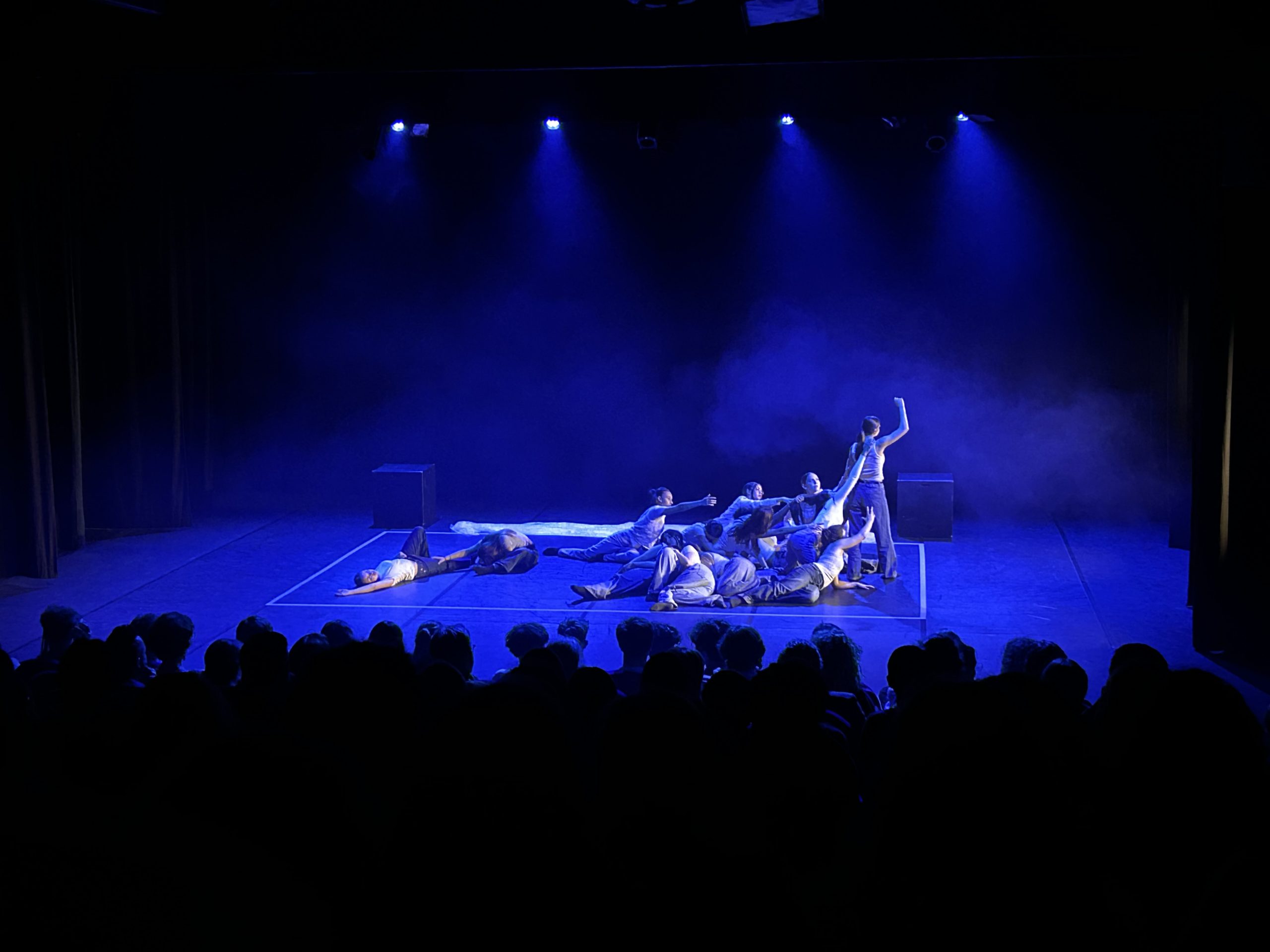 Les 1ères spécialité théâtre_Lycée Baudelaire_ sur la Scène Nationale de Bonlieu en présence de Mustapha Benfodil